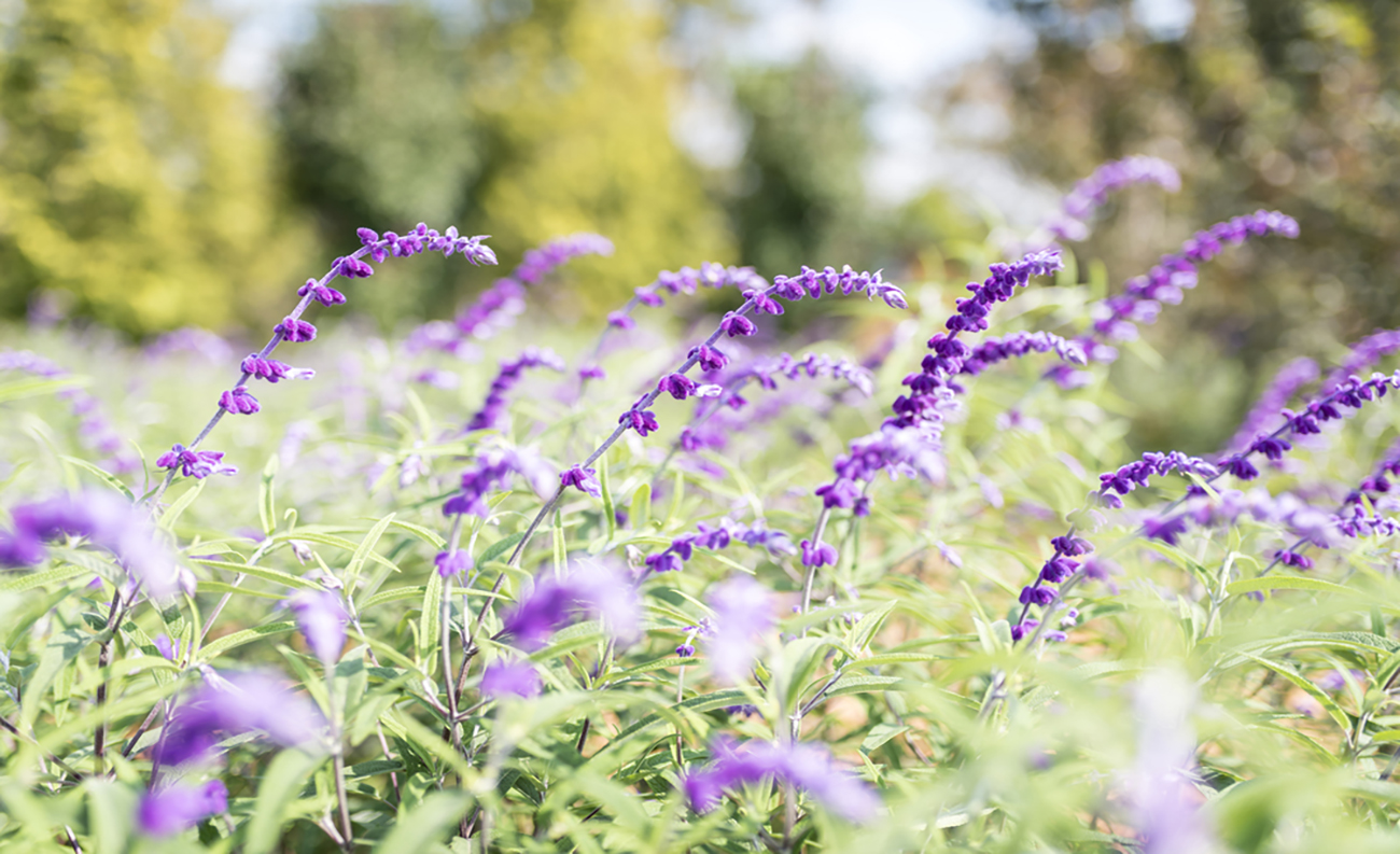 오산에서 가장 돋보이는 <br>자연생활 중심