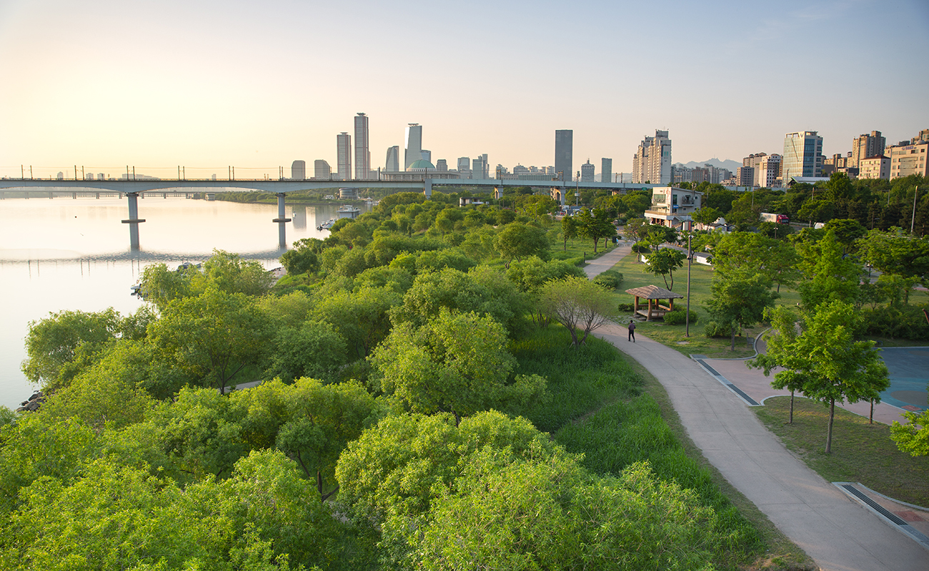 사통팔달 교통망  